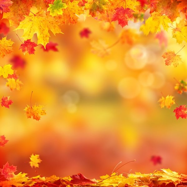 background material laeacco autumn yellow polka dot light bokeh maple fallen leave child party po pography backdrop studio
background material laeacco autumn yellow polka dot light bokeh maple fallen leave child party po pography backdrop studio
