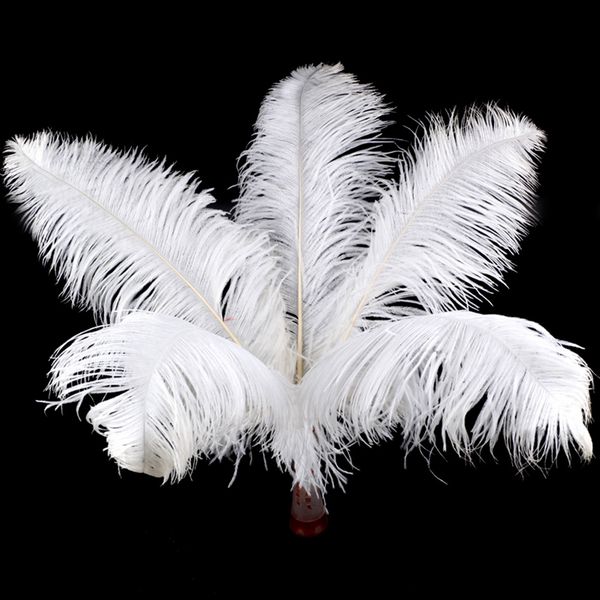 10pcs 15-20cm natural ostrich feathers wedding party decoration festival christmas decor artificial feather
10pcs 15-20cm natural ostrich feathers wedding party decoration festival christmas decor artificial feather