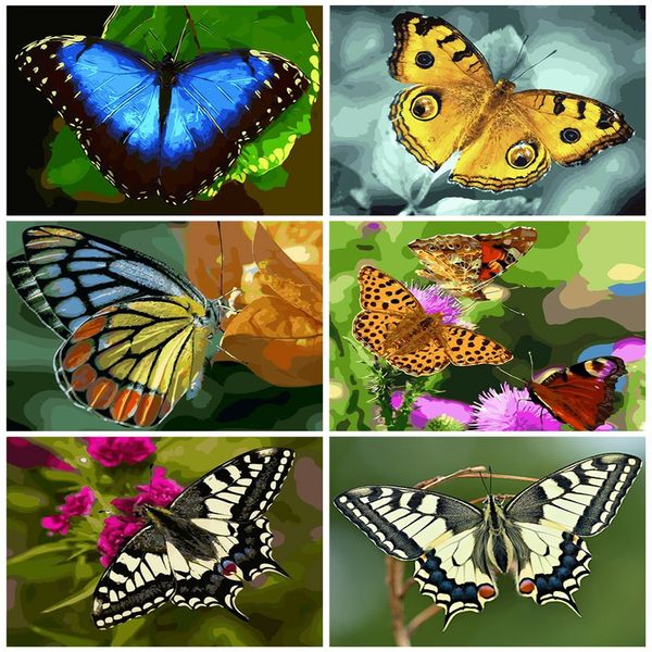 azqsd oil painting by numbers animal acrylic paint diy handmade gift unframe coloring by numbers butterfly home deocr
azqsd oil painting by numbers animal acrylic paint diy handmade gift unframe coloring by numbers butterfly home deocr