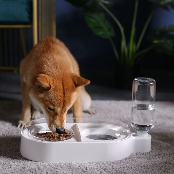 small one cat food holder dog cat pet double bowl removable and washable plastic bowl puppy watchband water bottle cat bowl
small one cat food holder dog cat pet double bowl removable and washable plastic bowl puppy watchband water bottle cat bowl