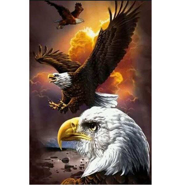 5d diy full round diamond painting soaring eagle mosaics cross-stitch diamond embroidery new year home decoration gift diamant
5d diy full round diamond painting soaring eagle mosaics cross-stitch diamond embroidery new year home decoration gift diamant