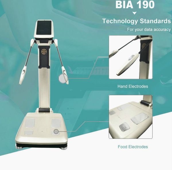fat monitor body fat bia composition analyzer weight scale examination muscle analyzer with bioimpedance with wifi and printe
fat monitor body fat bia composition analyzer weight scale examination muscle analyzer with bioimpedance with wifi and printe
