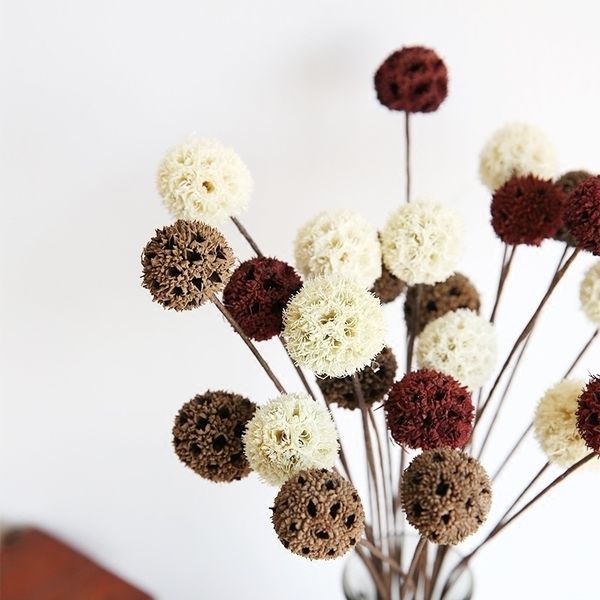 

5pcs/lot Dried Flowers Natural Decorative Home Decoration DIY Crafting Accessories Dried Fruit Rustic Decor Wedding Decorations