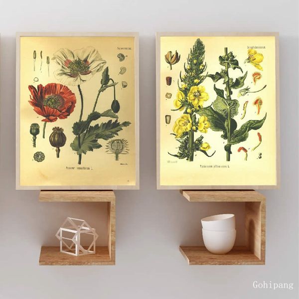 vintage botany prints poppy & velvet plant poster wall art canvas painting medicinal plants encyclopedia posters home decor
vintage botany prints poppy & velvet plant poster wall art canvas painting medicinal plants encyclopedia posters home decor