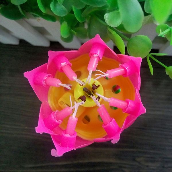 lotus music candle lotus singing birthday party cake music flash candle flower music candle cake accessories holiday supplies cy bh1911
lotus music candle lotus singing birthday party cake music flash candle flower music candle cake accessories holiday supplies cy bh1911