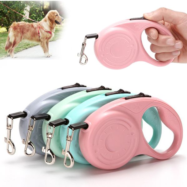 dog collars & leashes leash automatic pet supplies retractable nylon and polished adjustable harness extending running leads training
dog collars & leashes leash automatic pet supplies retractable nylon and polished adjustable harness extending running leads training