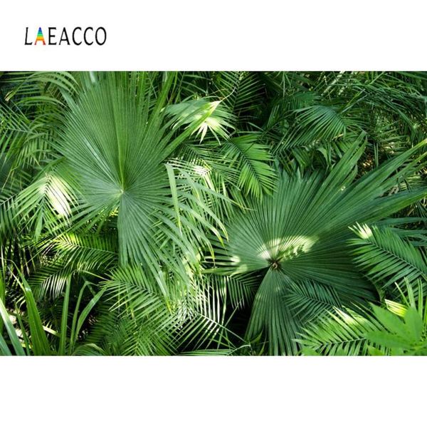 laeacco tropical green palms tree leave sunshine birthday party p backdrop pgraphy background pcall p studio
laeacco tropical green palms tree leave sunshine birthday party p backdrop pgraphy background pcall p studio