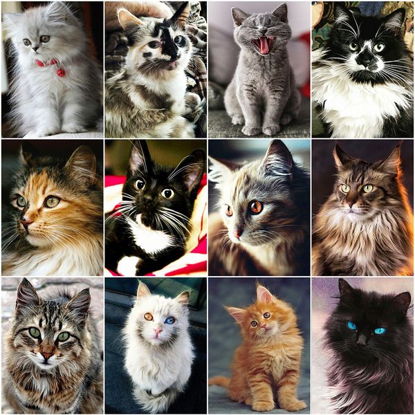 evershine diamond painting cat 5d diy diamond embroidery sale cross stitch animals rhinestones mosaic kit home decoration
evershine diamond painting cat 5d diy diamond embroidery sale cross stitch animals rhinestones mosaic kit home decoration