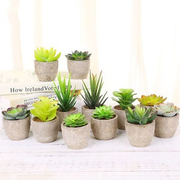 creativity bonsai artificial succulent plants artificial bonsai with pots decorative ball plants flower mini
creativity bonsai artificial succulent plants artificial bonsai with pots decorative ball plants flower mini