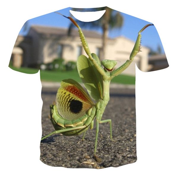 new and animal 3 printing d printing quick drying xxs-6x 3d print shirts anime graphic comics men clothing
new and animal 3 printing d printing quick drying xxs-6x 3d print shirts anime graphic comics men clothing