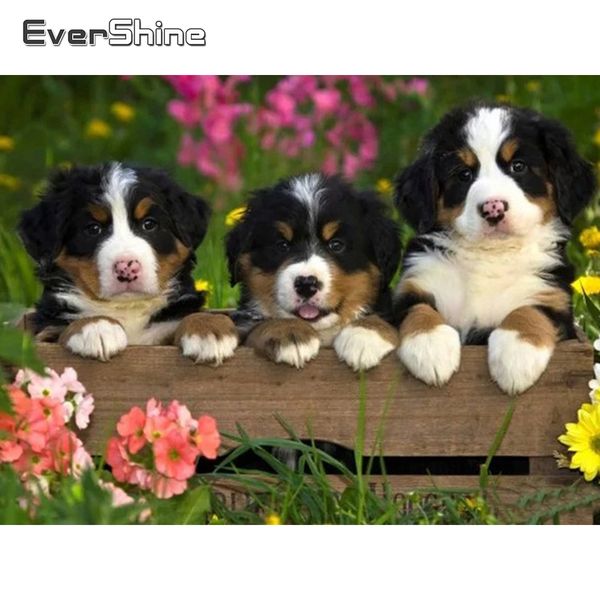 wall art 5d diamond painting dog cross stitch rhinestones mosaic animals embroidery complete kit home decor diy hobby
wall art 5d diamond painting dog cross stitch rhinestones mosaic animals embroidery complete kit home decor diy hobby