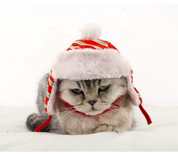 2021 new year selling stylish christmas winter red white stripped knitted dog pet cat red christmas costume hat
2021 new year selling stylish christmas winter red white stripped knitted dog pet cat red christmas costume hat