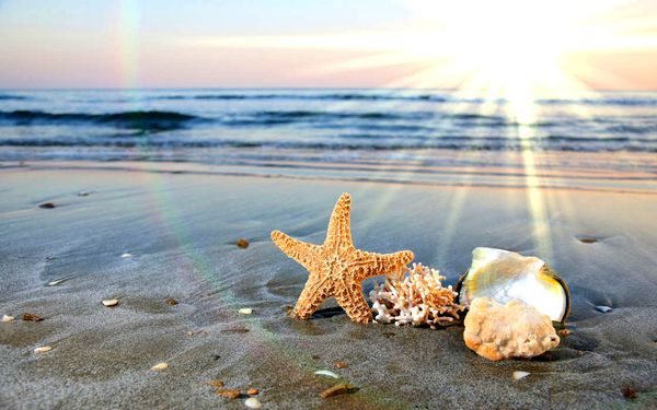 5d алмазного diy красочного sky sun beach aurora вышивка крест мозаика полное rhinestone картина масло wall art canvas home decor
5d алмазного diy красочного sky sun beach aurora вышивка крест мозаика полное rhinestone картина масло wall art canvas home decor