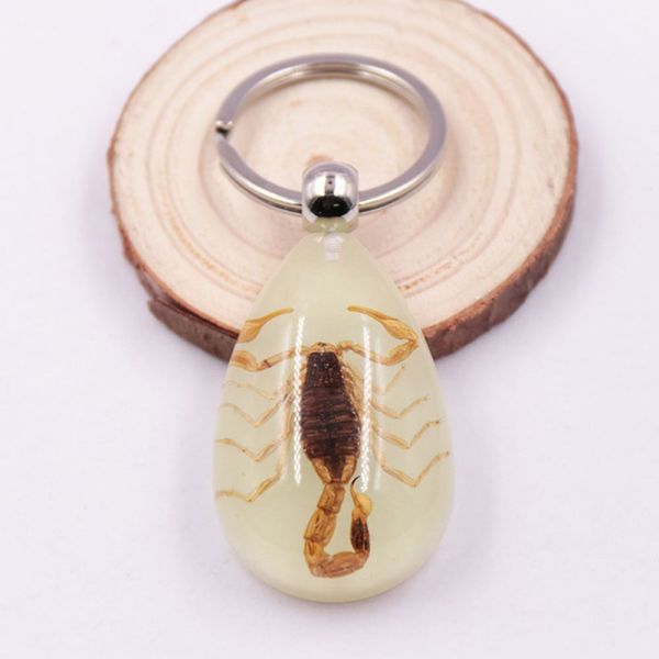 car keyring noctilucent scorpion amber pendant auto key decor pendant creative amber keychain inventory clearance, Silver
car keyring noctilucent scorpion amber pendant auto key decor pendant creative amber keychain inventory clearance, Silver