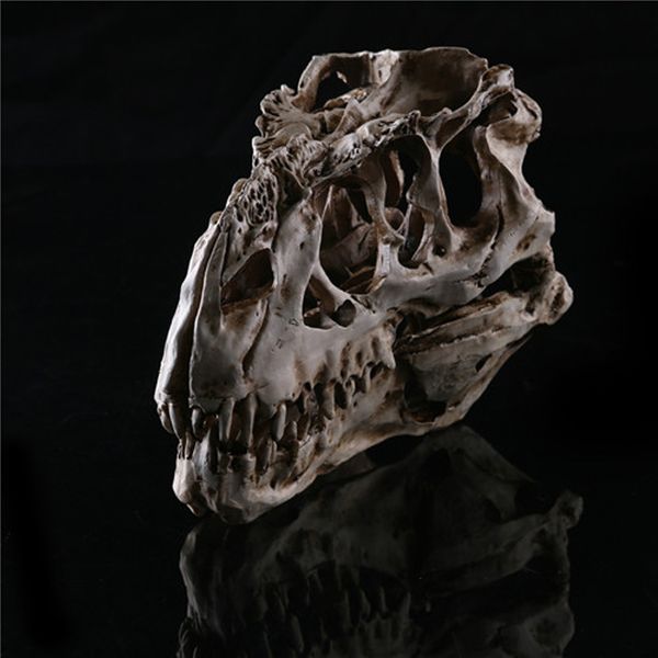 resin model t-rex tyrannosaurus statues sculptures ornament dinosaur skull gift
resin model t-rex tyrannosaurus statues sculptures ornament dinosaur skull gift