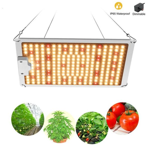 new designer sf full spectrum samsung led grow light quantum light with lm301b qb234pcs 3500k chips and ul meanwell driver indoor planting
new designer sf full spectrum samsung led grow light quantum light with lm301b qb234pcs 3500k chips and ul meanwell driver indoor planting