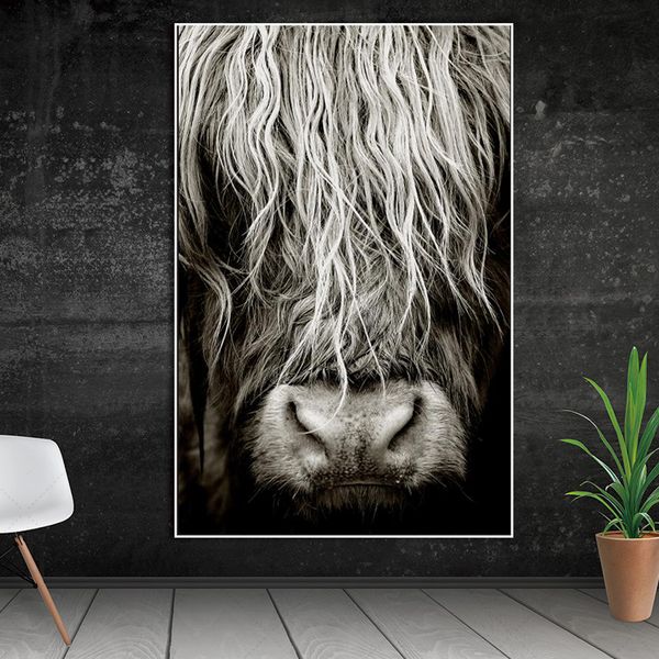 modern abstract scottish highlander cattle print on canvas wall art pictures animal painting for living room home decor
modern abstract scottish highlander cattle print on canvas wall art pictures animal painting for living room home decor