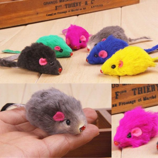 cat toys 2pcs colorful kitten car playing false mouse in rat for pet funny gift
cat toys 2pcs colorful kitten car playing false mouse in rat for pet funny gift