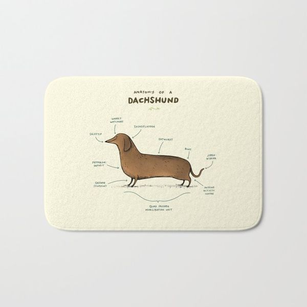 bath mats bathroom rugs anatomy of a dachshund mat flannel absorbent non slip doormat entrance door room easter 40x60
bath mats bathroom rugs anatomy of a dachshund mat flannel absorbent non slip doormat entrance door room easter 40x60