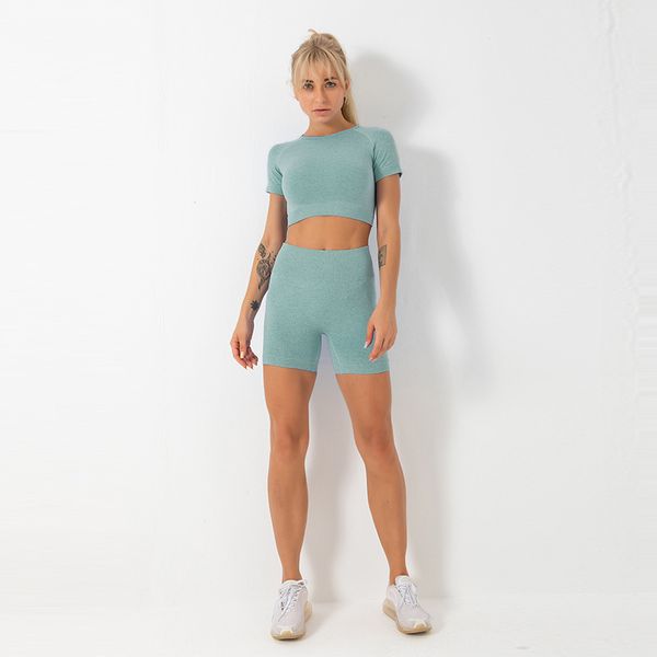 seamless 2 piece sport set women workout shorts set solid crop yoga fitness clothing short sleeve round neck gymwear, White;red
seamless 2 piece sport set women workout shorts set solid crop yoga fitness clothing short sleeve round neck gymwear, White;red
