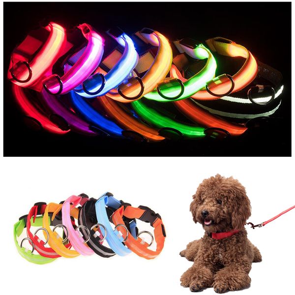 stock led nylon pet dog collar night safety led light flashing glow in the dark small dog pet leash dog collar flashing safety collar
stock led nylon pet dog collar night safety led light flashing glow in the dark small dog pet leash dog collar flashing safety collar