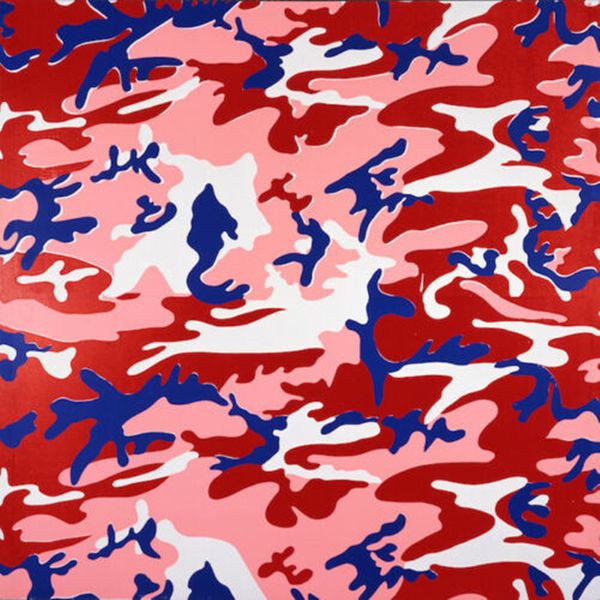 andy warhol pop art camouflage wall decor handcrafts /hd print oil painting on canvas wall art canvas pictures 200818
andy warhol pop art camouflage wall decor handcrafts /hd print oil painting on canvas wall art canvas pictures 200818