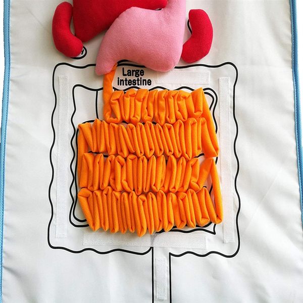 anatomy apron human body organs awareness educational insights apron toys kindergarten kids preschool home teaching children, Slivery;white
anatomy apron human body organs awareness educational insights apron toys kindergarten kids preschool home teaching children, Slivery;white