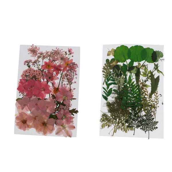 76 pieces real pressed dried flowers floral for diy jewelry arts crafts
