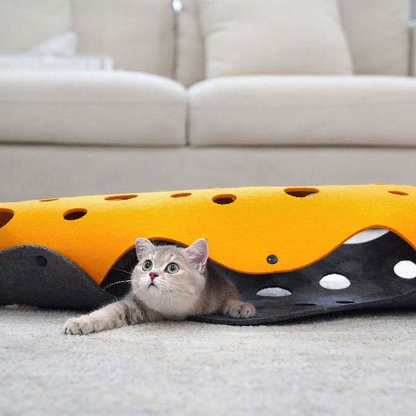 cat play tunnel hiding toys collapsible tunnel mat with multiple tracking holes 449e
cat play tunnel hiding toys collapsible tunnel mat with multiple tracking holes 449e