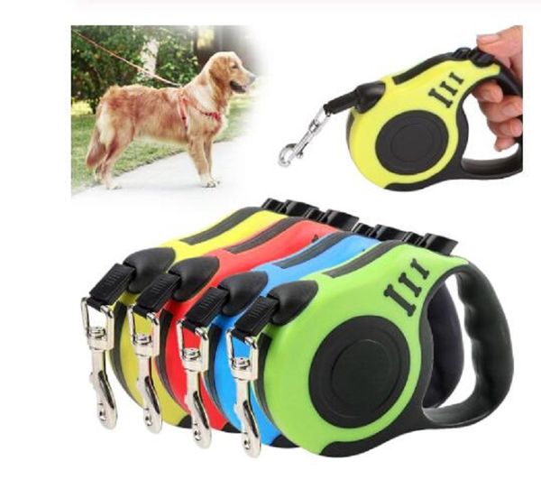 3/5m durable dog leash automatic retractable nylon cat lead extending puppy walking running lead roulette for dogs
3/5m durable dog leash automatic retractable nylon cat lead extending puppy walking running lead roulette for dogs