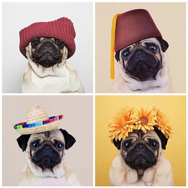 huacan full drill diamond painting animal gifts for women mosaic dog embroidery diamond art decoration home
huacan full drill diamond painting animal gifts for women mosaic dog embroidery diamond art decoration home