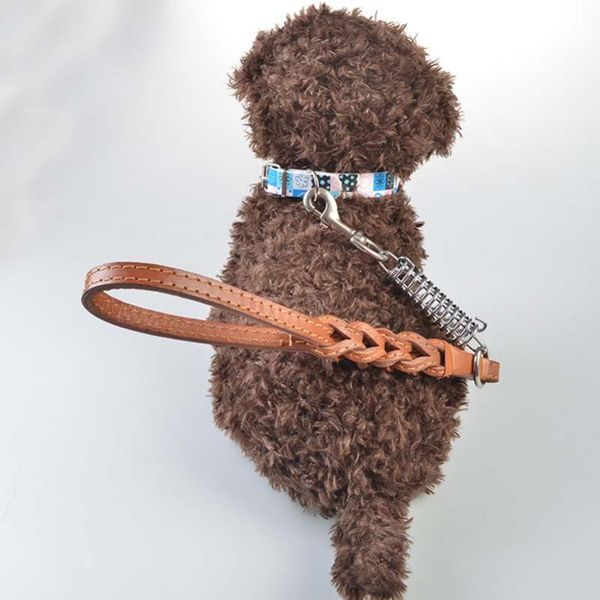 pet dog products 70cm large dog explosion proof traction belt rope leashes leads goods
pet dog products 70cm large dog explosion proof traction belt rope leashes leads goods