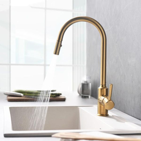 faucet invisible pull out sprayer head single hole single handle and cold solid brass kitchen sink mixer tap
faucet invisible pull out sprayer head single hole single handle and cold solid brass kitchen sink mixer tap