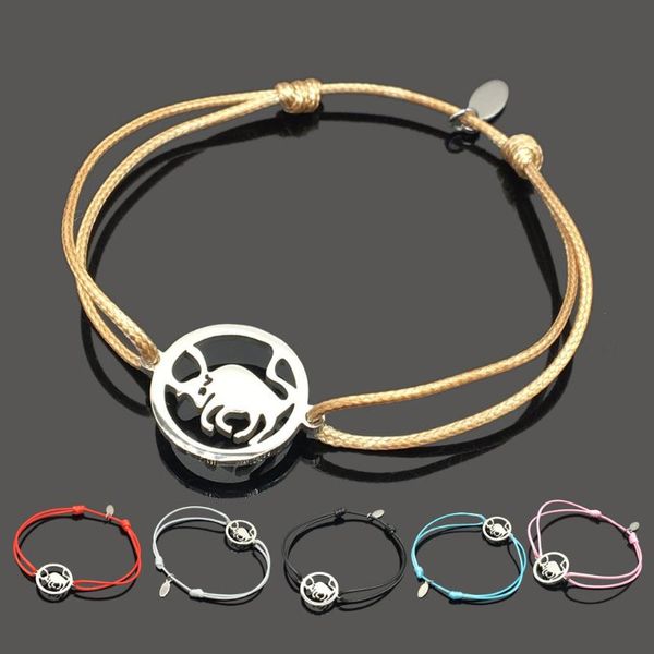 new bull stainless steel charm wish bracelet bull stainless steel pendant adjustable string gift bracelet, Red;blue
new bull stainless steel charm wish bracelet bull stainless steel pendant adjustable string gift bracelet, Red;blue