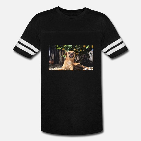loki under a lemon tree t shirt men printing tee shirt round collar formal sunlight funny summer letters shirt
loki under a lemon tree t shirt men printing tee shirt round collar formal sunlight funny summer letters shirt