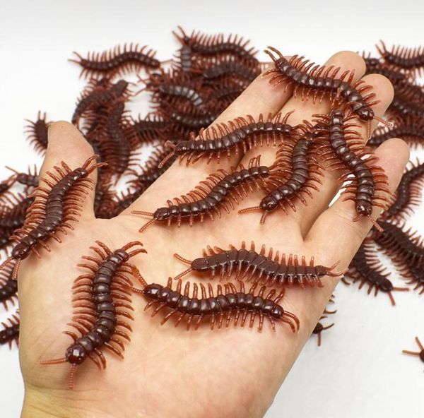 shipping party mini centipedes funny flexible simulation decor home scary novelty toys new gifts kids jjxh kqykb
shipping party mini centipedes funny flexible simulation decor home scary novelty toys new gifts kids jjxh kqykb