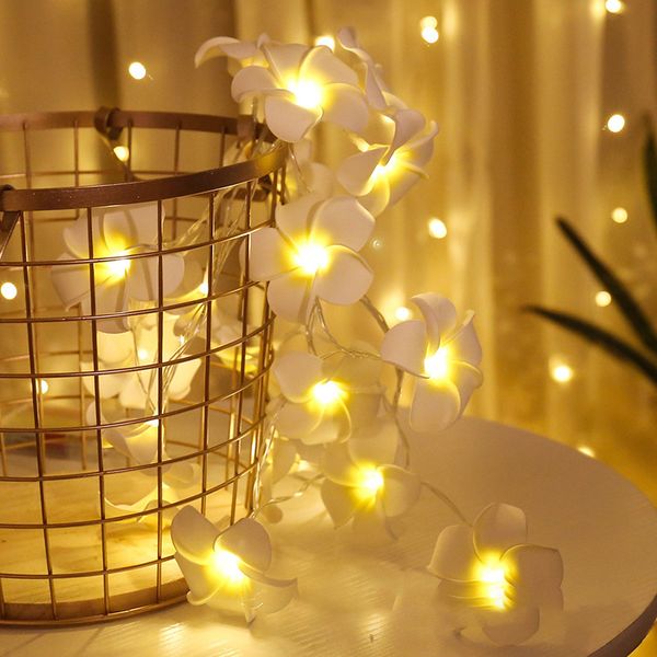 flowers frangipani led string light hawaiian foam artificial plumeria flower fairy starry lights for wedding valentine's day 10385
flowers frangipani led string light hawaiian foam artificial plumeria flower fairy starry lights for wedding valentine's day 10385