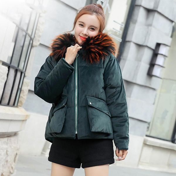 new fashion winter jacket women velvet hooded with fur female pockets winter coat women short parkas outwear, Black;brown
new fashion winter jacket women velvet hooded with fur female pockets winter coat women short parkas outwear, Black;brown