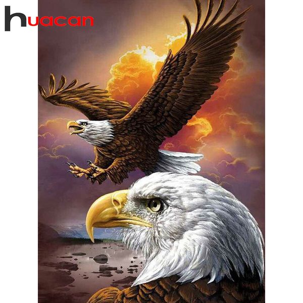 huacan 5d diy diamond painting eagle handicraft full square/round diamond embroidery art animal home decoration 
huacan 5d diy diamond painting eagle handicraft full square/round diamond embroidery art animal home decoration