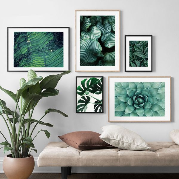 nature plant leaf monstera terraced field wall art canvas painting nordic posters and prints wall pictures for living room decor
nature plant leaf monstera terraced field wall art canvas painting nordic posters and prints wall pictures for living room decor