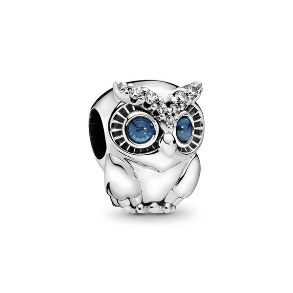 2020 new authentic ale 925 sterling silver sparkling owl charm fit pandora bracelets fashion designer charms beads for diy jewelry making, Black
2020 new authentic ale 925 sterling silver sparkling owl charm fit pandora bracelets fashion designer charms beads for diy jewelry making, Black