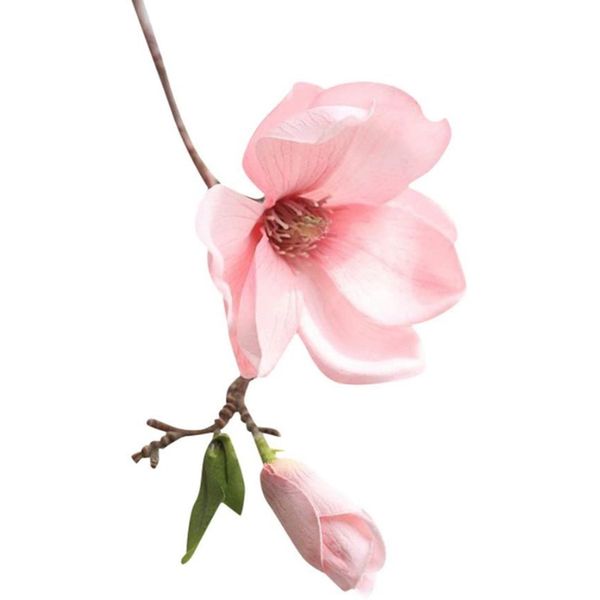 small fresh single nolia flower artificial flower home decoration wedding fake
small fresh single nolia flower artificial flower home decoration wedding fake