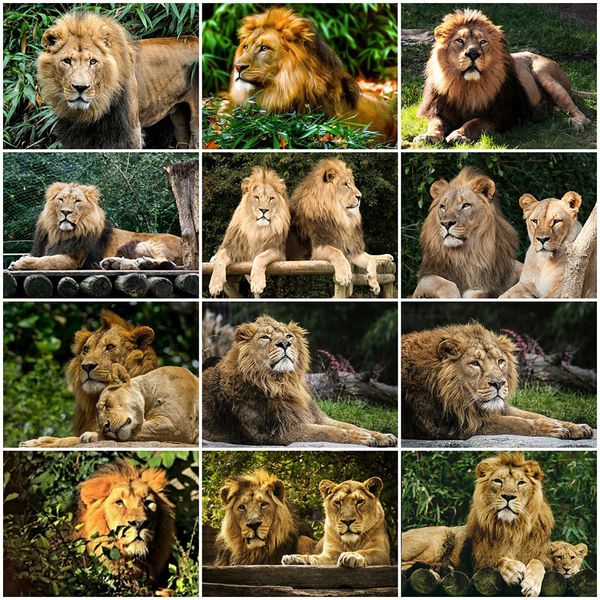 evershine 5d diy алмазные вышивки lion алмазные картины животных вышивки крестом kit мозаичная картина rhinestone home decor
evershine 5d diy алмазные вышивки lion алмазные картины животных вышивки крестом kit мозаичная картина rhinestone home decor