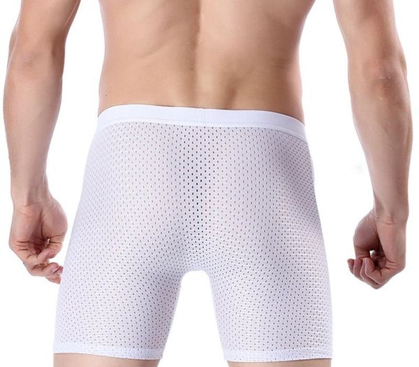 4xl large size mesh male underwear ethika men boxer long men's transparent panties shorts underpants man bamboo mens99, Black;white
4xl large size mesh male underwear ethika men boxer long men's transparent panties shorts underpants man bamboo mens99, Black;white