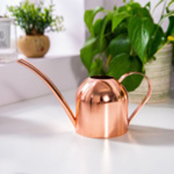 500ml long mouth watering pot stainless steel for plant irrigation golden watering kettle small tool gardening
500ml long mouth watering pot stainless steel for plant irrigation golden watering kettle small tool gardening