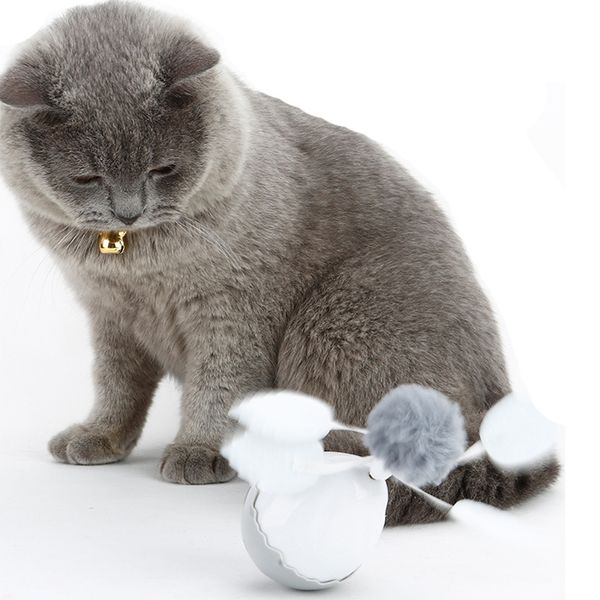 irregular rotating for cat funny dog with head 360 degrees electric tumbler toy
irregular rotating for cat funny dog with head 360 degrees electric tumbler toy