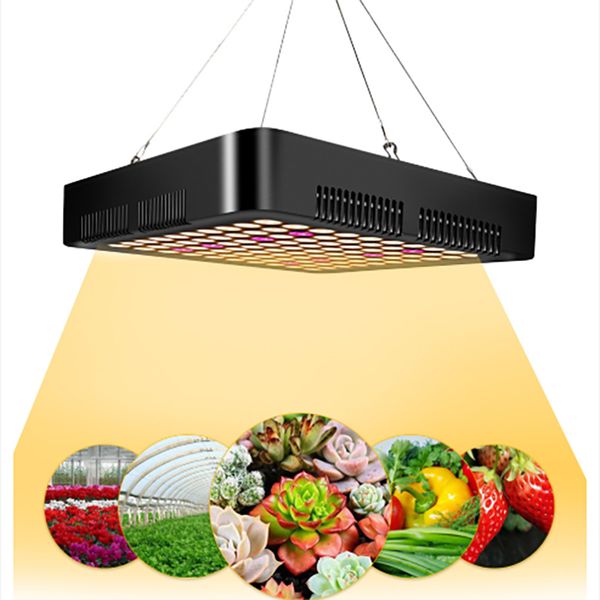 1000w Led Grow Light Recommeded High Cost-effective Double Chips Full Spectrum Led Grow Lights For Hydroponic Systems
