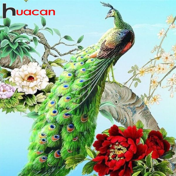 huacan diamond painting peacock home decoration embroidery animal cross stitch mosaic flower handmade gift diamond art
huacan diamond painting peacock home decoration embroidery animal cross stitch mosaic flower handmade gift diamond art