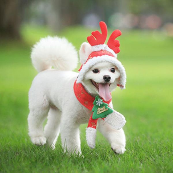 new pet fall and winter supplies new dog clothes scarf hat detachable warm holiday christmas day ornaments cute dogs hat
new pet fall and winter supplies new dog clothes scarf hat detachable warm holiday christmas day ornaments cute dogs hat