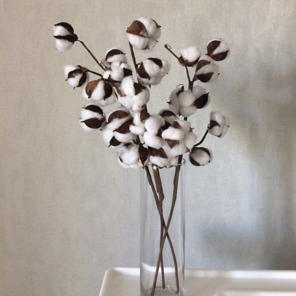 10pcs natural dried cotton dry flower artificial plants cotton head diy flowers for wedding decorations christmas tree hanging
10pcs natural dried cotton dry flower artificial plants cotton head diy flowers for wedding decorations christmas tree hanging